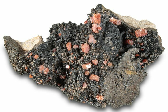 Small Red Vanadinite Crystals on Goethite - Morocco #292905